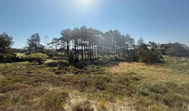 Toldergårdsvej 31, Vesterby