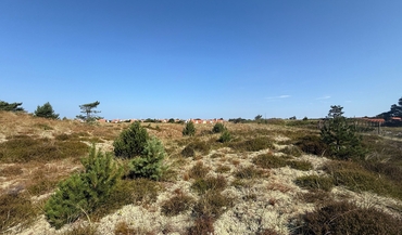 Toldergårdsvej 21, Vesterby